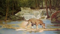 картины, гобелен, животные, птицы, леопард, Живая вода